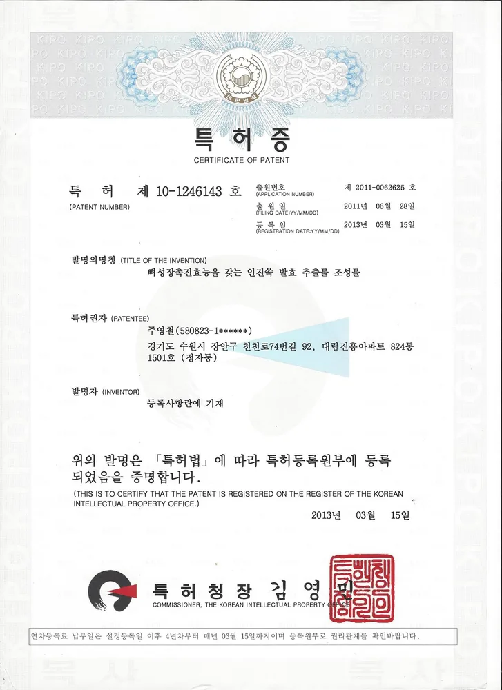 인진쑥 발효 추출물